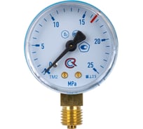 Манометр ARMA 25 МПа, кислород, М12х1.5 050-905