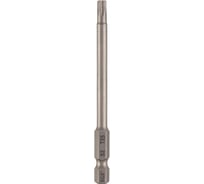 Бита SGS TORX TR T25Hх110мм S2 2шт 63110-TT25-2