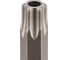 Бита SGS TORX TR T40Hх110мм S2 2шт 63110-TT40-2 2