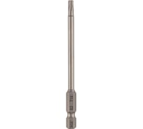 Бита SGS TORX TR T10Hх110мм S2 2шт 63110-TT10-2