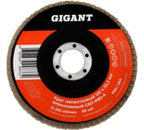 Круг лепестковый 125х22,2 мм; P80; цирконий Gigant Professional GNT-P80-А
