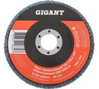 Круг лепестковый 125х22,2 мм; P60; цирконий Gigant Professional GNT-P60-А