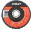 Круг лепестковый 125х22,2 мм; P60; цирконий Gigant Professional GNT-P60-А 1