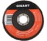 Круг лепестковый торцевой 125x22,2 Gigant GRF-60-А 1