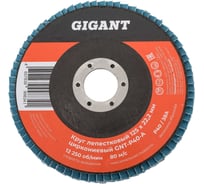 Круг лепестковый 125х22,2 мм; P40; цирконий Gigant Professional GNT-P40-А