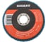 Круг лепестковый 125х22,2 мм; P40; цирконий Gigant Professional GNT-P40-А 1