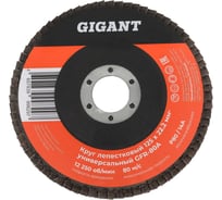 Круг лепестковый торцевой 125x22,2 Gigant GRF-80-А