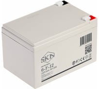 Аккумуляторная батарея 6-F-12 (12V12A/H C20) SKN 0000012