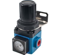 Регулятор давления воздуха NBPT с манометром GR200-02 N 1.6 MPa арт. 803674