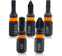 Набор бит DINGQI 25мм/PZ0/T10/H2/PH0/SL2.5 AD06101