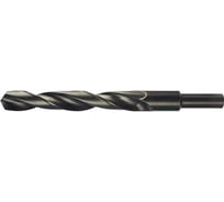 Сверло с проточенным хвостовиком ToolPro 13мм HSS DIN338 17.0x125x184мм 910 018 029