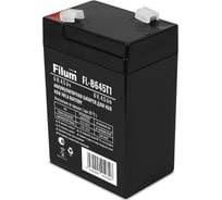 Батарея для ИБП Filum AGM VRLA 6 В, 4,5 Ач, (ШхВхГ) 70х106х48 мм, с клеммой Т1 FL-B645T1