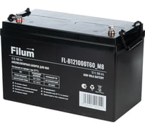Батарея для ИБП Filum AGM VRLA 12 В, 100 Ач, (ШхВхГ) 330х218х172 мм, с клеммой Т60 под болт М8х16 FL-B121000T60_M8