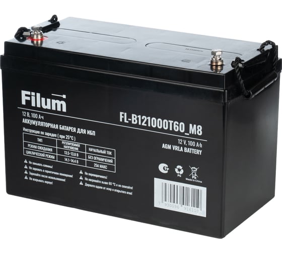 Батарея для ИБП Filum AGM VRLA 12 В, 100 Ач, (ШхВхГ) 330х218х172 мм, с клеммой Т60 под болт М8х16 FL-B121000T60_M8 1