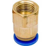 Фитинг металлический 10 мм - внутренняя резьба 1/4" Pegas pneumatic 5209