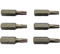 Бита Scheppach T20 1/4х25мм (25шт/комп) Sch-HW-S19(63751)