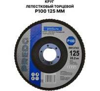 Круг лепестковый торцевой PREDA КЛТ P100 125 мм, 1 шт. KLT100-1