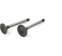 Клапан впуск/выпуск REDVOLT GX120 (2 шт.) 07-117K