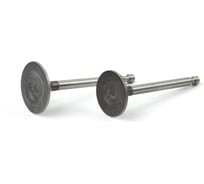 Клапан впуск/выпуск REDVOLT GX340, GX390, 192F (2 шт.) 07-120K