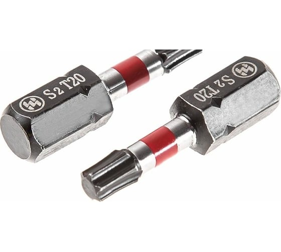 Бита Flex (2 шт; 25 мм; TORX20) Hammer 362957 203-181