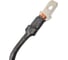 Угольные щетки для Электрической погружной пилы PL75 (2 шт.) Scheppach 5901804004 6