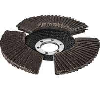 Круг лепестковый торцевой стробоскопический 125 х 22 мм Р 60 (1шт.) серия Эксперт ПРАКТИКА 922-876