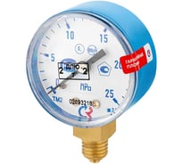 Манометр Сварог ТМ-210Р.00(0-25МРа)M12x1.5.2.5. О2 91769