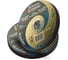 Круг отрезной по металлу Forsage 125x1.2x22.2мм(20шт к-т) F-CW505 PREMIUM[20шт к-т](64267) 1
