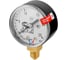 Манометр Сварог ТМ-210Р.00(0-25МРа)M12x1.5.2.5. ГАЗ 94907 1