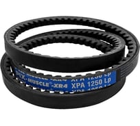Ремень Remeza XPA 1250 4302104903