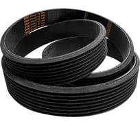 Ремень Remeza POLY-VL-1562-8 4303016103