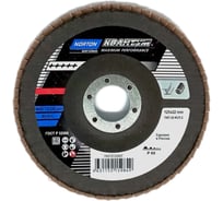 Лепестковый диск NORTON Quantum 125x22 керамика P60 (1шт) 78072722867