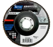 Лепестковый диск NORTON Quantum 125x22 керамика P80 (1шт) 78072722868