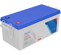 Аккумуляторная батарея Vektor Energy LFP 25.6-200 20804