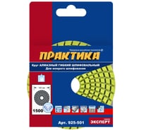 Круг алмазный гибкий шлифовальный ПРАКТИКА 100 мм для мокрого шлифования, P1500 925-501