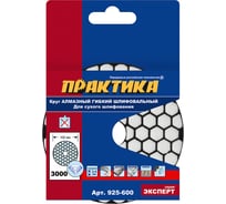 Круг алмазный гибкий шлифовальный ПРАКТИКА 100 мм для сухого шлифования, P3000 925-600