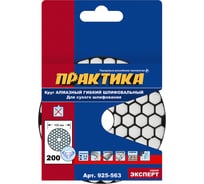 Круг алмазный гибкий шлифовальный ПРАКТИКА 100 мм для сухого шлифования, P 200 925-563