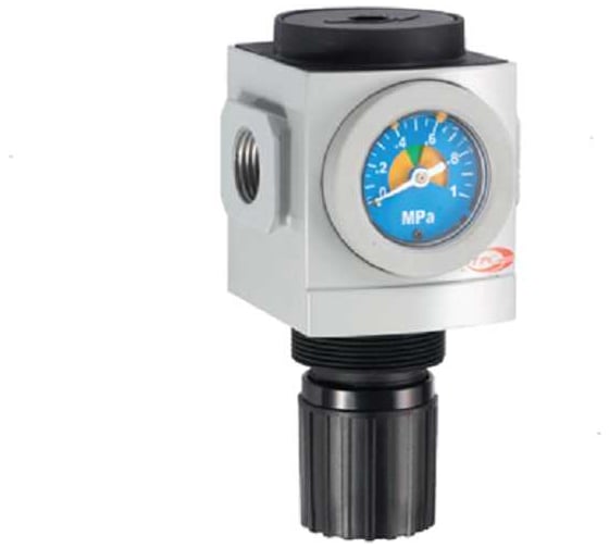 Регулятор давления CDC Pneumatics с гайкой и манометром 1/4 PR2-G02BG