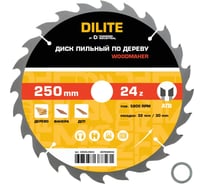 Диск пильный Diamond Industrial по дереву 250х32/30 мм Z=24 ATB Wood DILITE DIDDDL250Z24