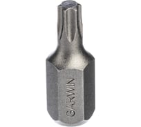 Бита GARWIN с шестигранным хвостовиком, 10 мм, T25, 30 мм, 1 шт 631025-T25
