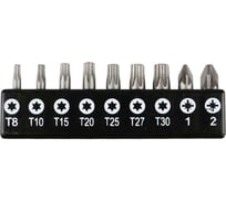 Набор бит GARWIN 1/4", 25 мм на держателе TORX, PZ 632503