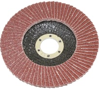 Круг TLX КЛТ1 125х22,2 14А Р 80 №20 SA28003 75239