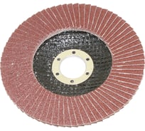 Круг TLX КЛТ1 125х22,2 14А Р120 №10 SA28003 75240