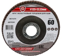 Круг лепестковый торцевой эконом Strong СТУ-243 125/60 (5шт) СТУ-243125060