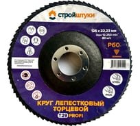 Круг лепестковый Стройштуки 125 мм Р60 Т29 PROFI фиолетовый чашка (5 шт) УТ-00046313