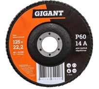 Круг лепестковый конический КЛТ2 (125x22.2 мм; P60) Gigant G-110035