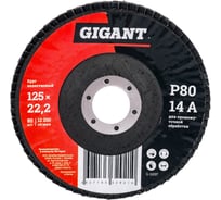 Круг лепестковый конический КЛТ2 (125x22.2 мм; P80 Циркон) Gigant G-110032