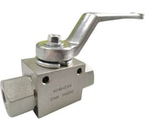 Шаровой дренажный кран AktiSpray 1/4", 500 бар, ДМХ, АСП, DMX, EVOX, ASP 16124313