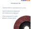 Круг лепестковый конический 115х22,2мм Р60 набор 10шт Flexione 10000250 5
