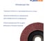Круг лепестковый конический 115х22,2мм Р120 набор 10шт Flexione 10000199 5